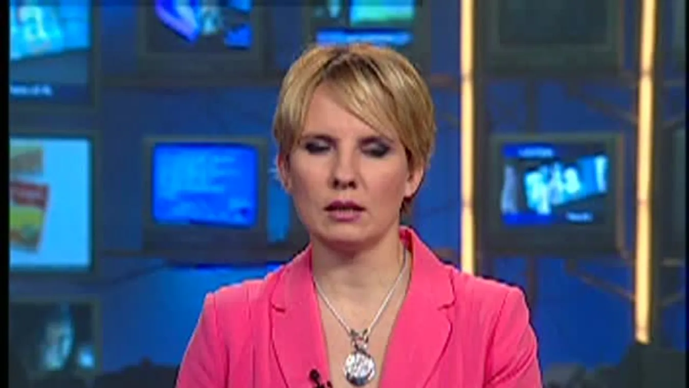 Bajnai nem hirdet programot, csak kritizál