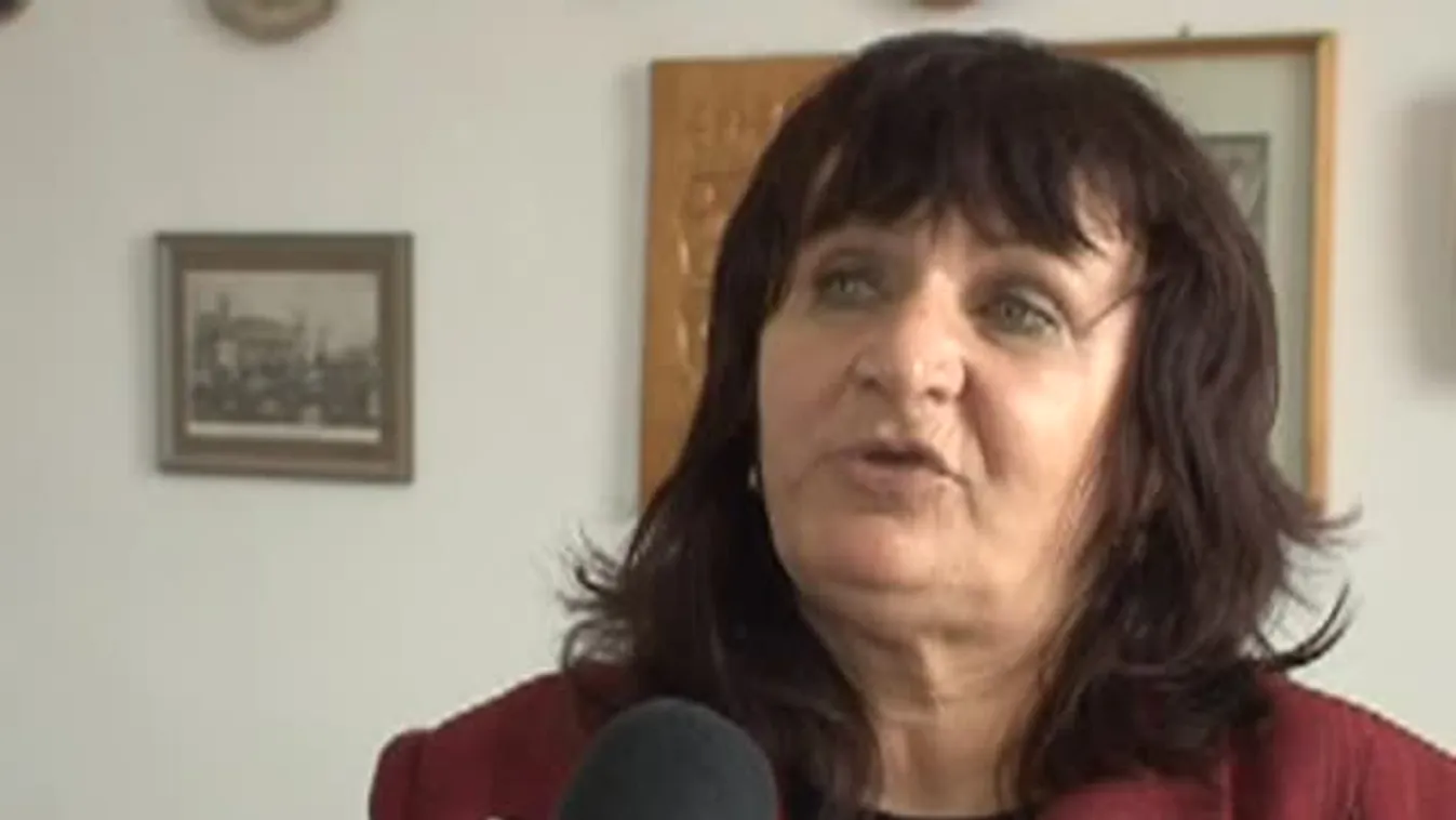 Felszámolták a volt simontornyai bőrgyár környezeti kárait