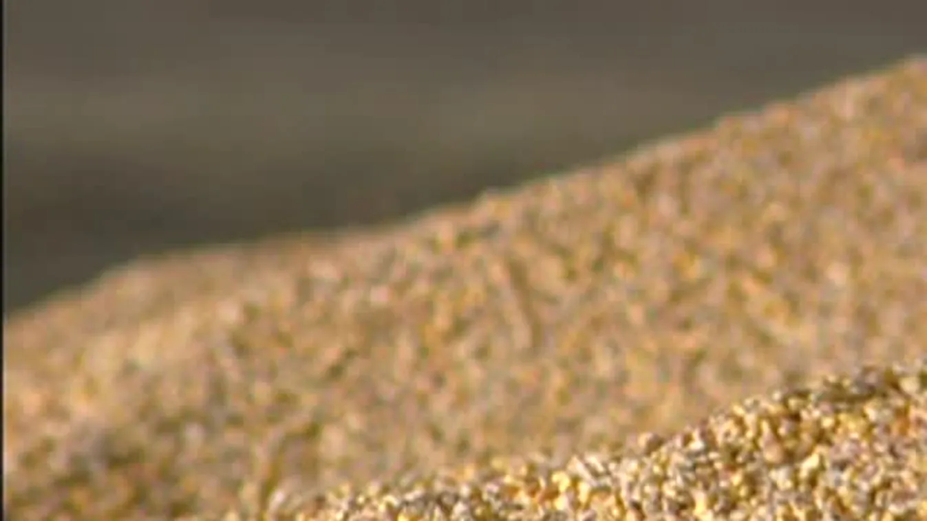 Soroló – Idén nem takarékoskodnak a műtrágyával