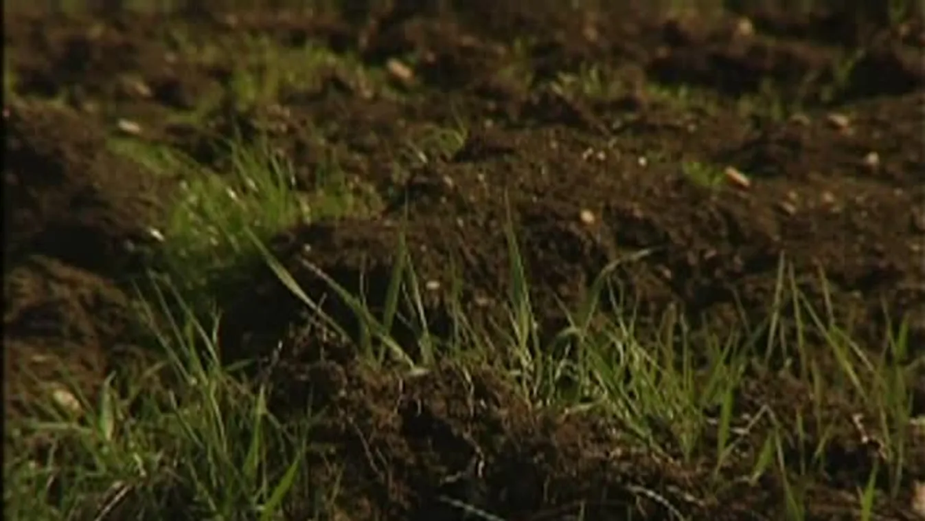 Egyre több földterület kerül állami tulajdonba