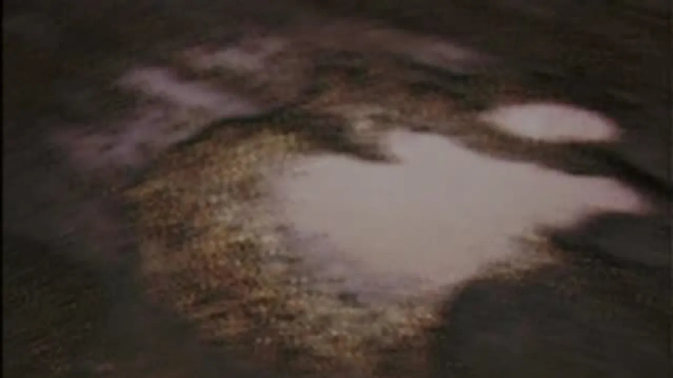 Panaszköny – Telefonkönyv kft.- az átverések újabb formája