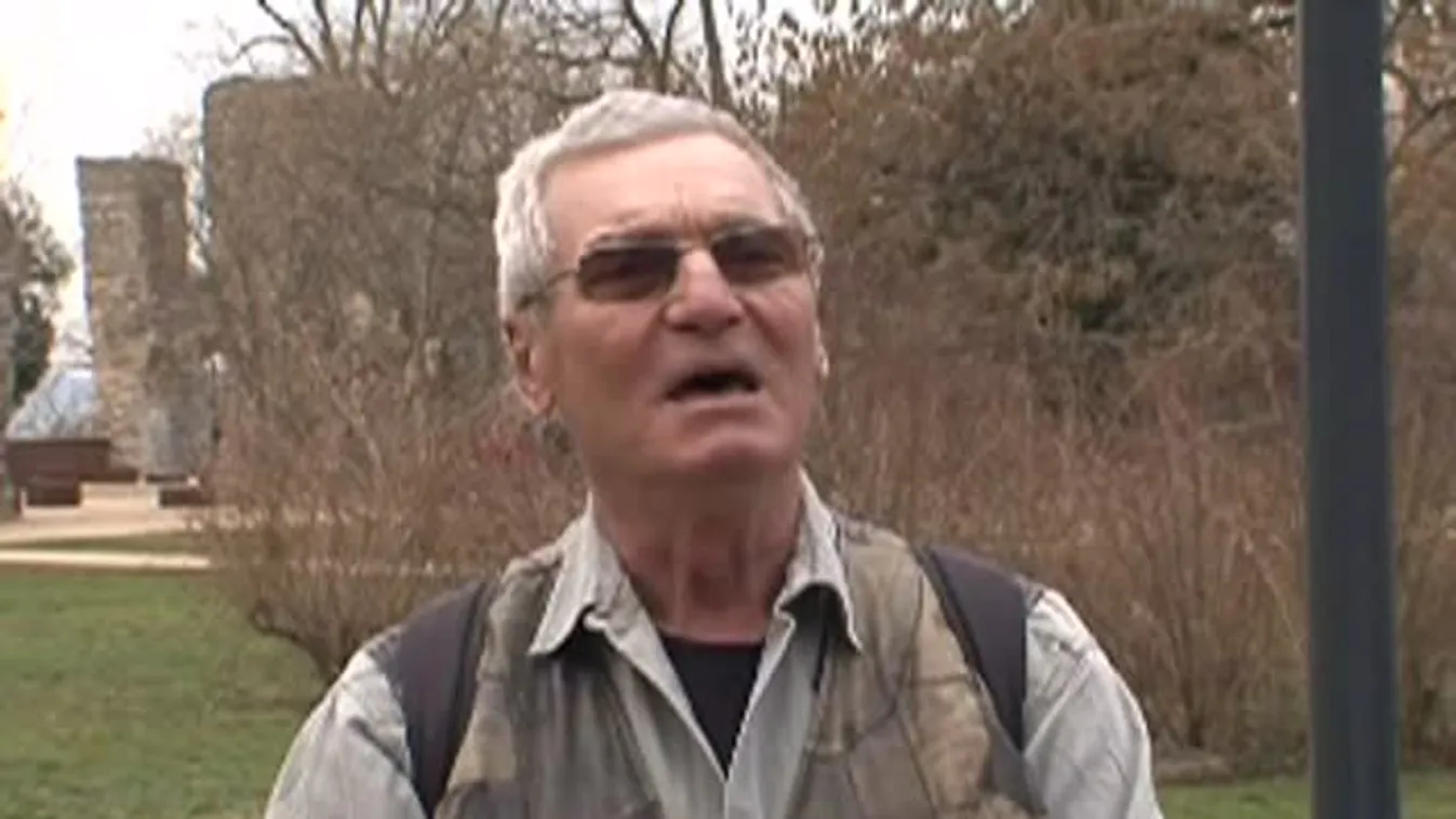 Erdőtakarítási akció a Mecsekben