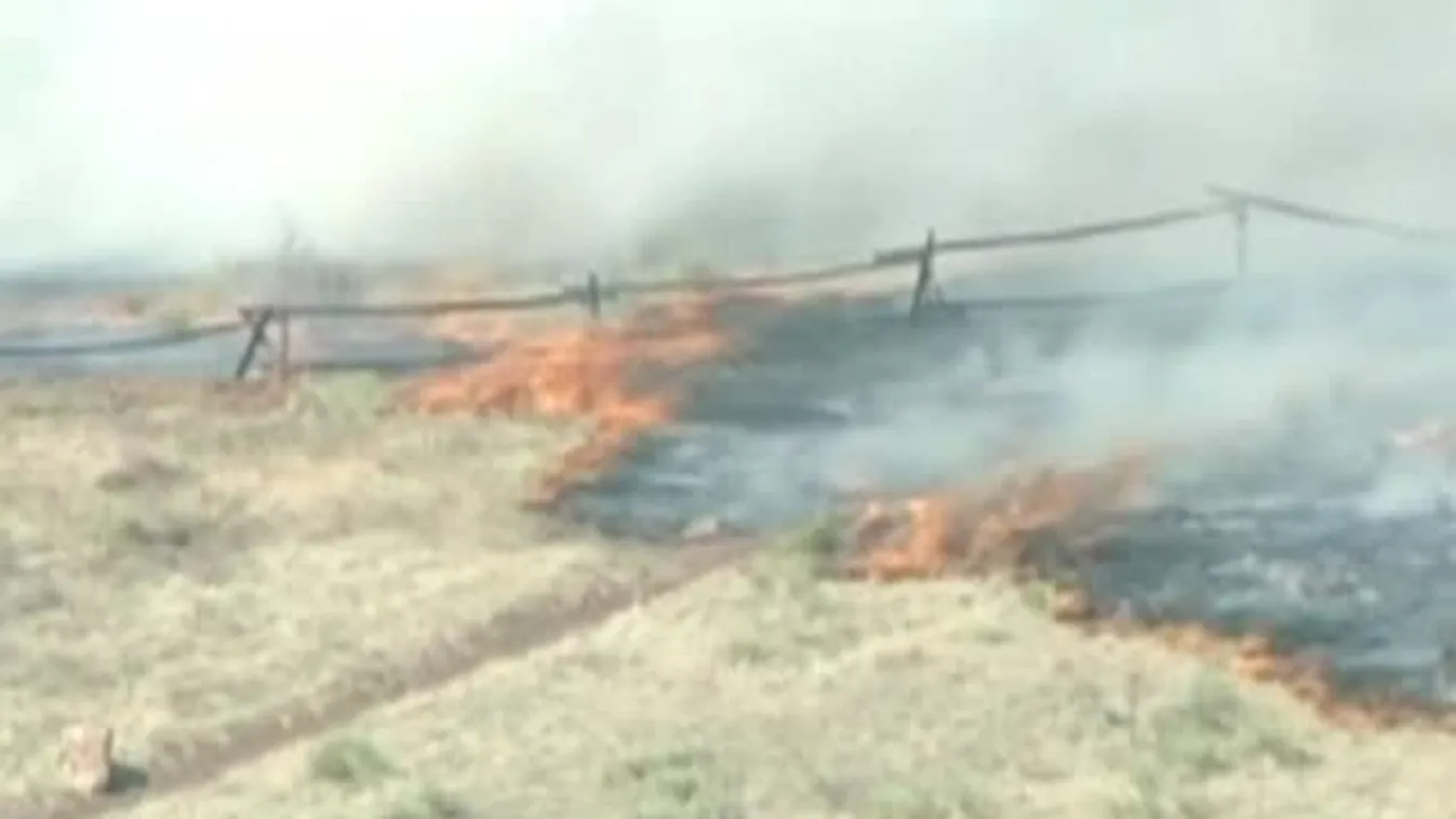 Erdő és bozóttűz Coloradóban