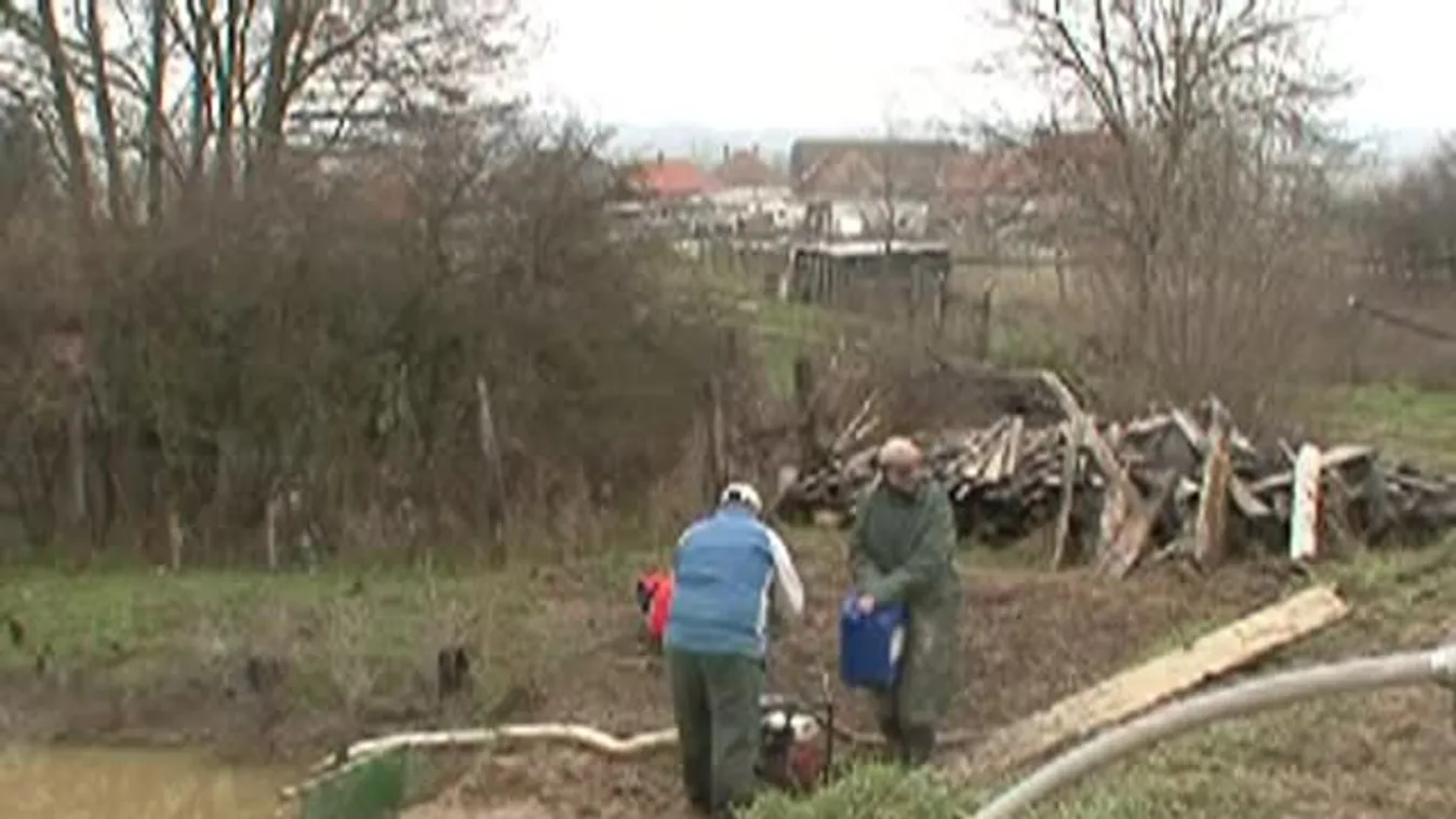 Áradnak a patatok Sásdon