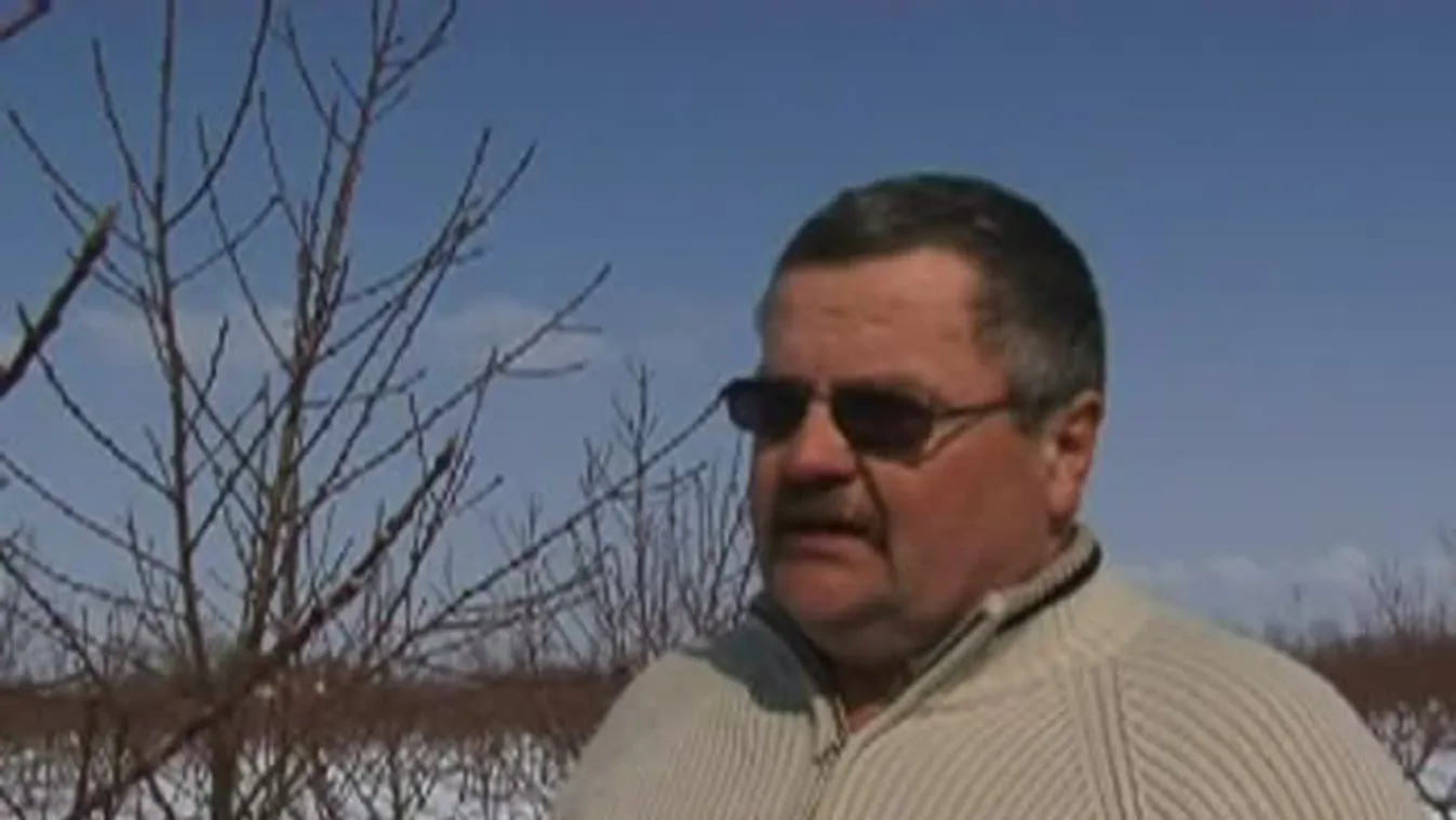 Óriási károkat szenvedett a kajszibarack