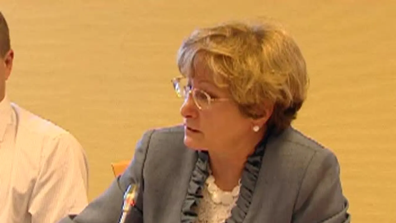 A fogyasztóvédelmei bizottság meghallgatása a gyermekétkeztetés helyzetéről