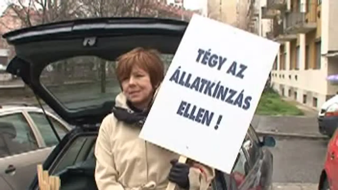 Felvonulás Pécsett a felelős állattartásért