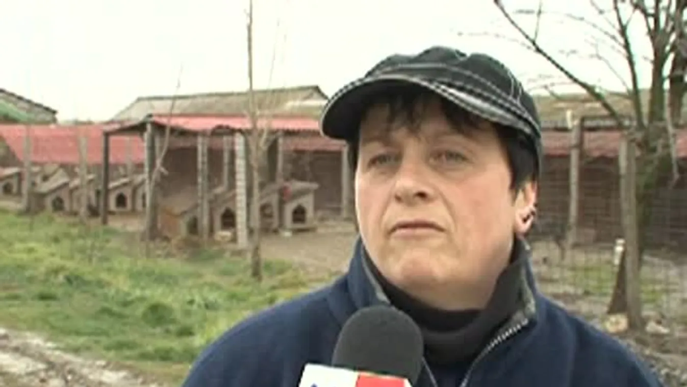 Víz alá került a kutyamenhely