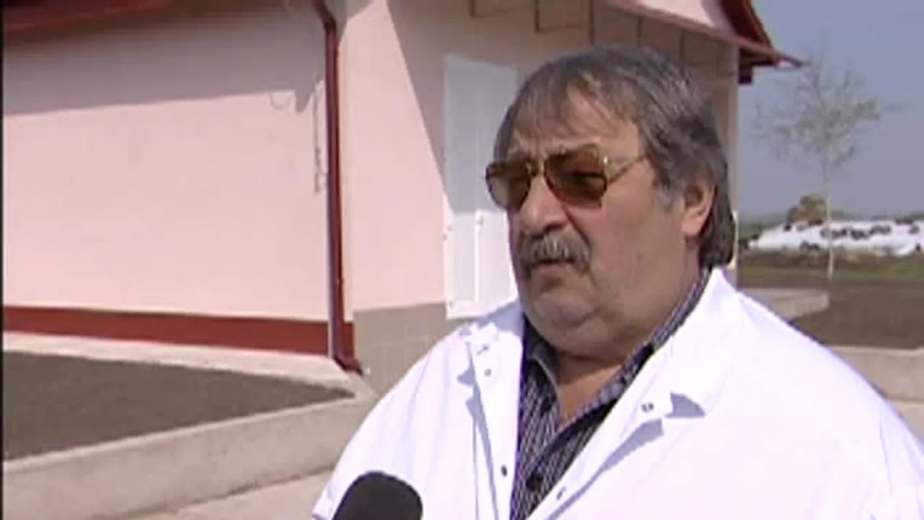 Soroló – Kóbor kutyák tépték szét