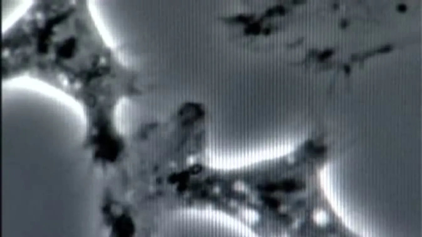 Rájátszás – Villámcsődület a magzati életért