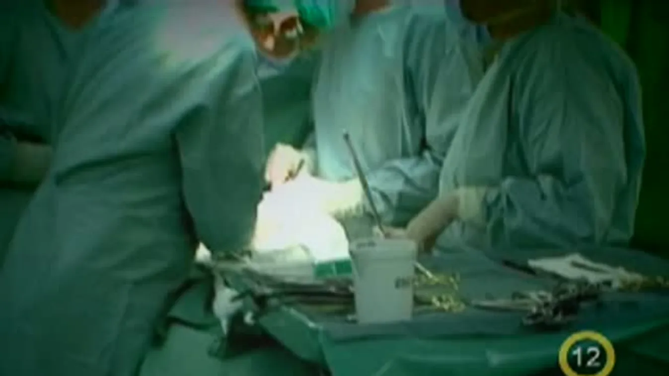 Gyógyhír - Ments életet, adj vért!