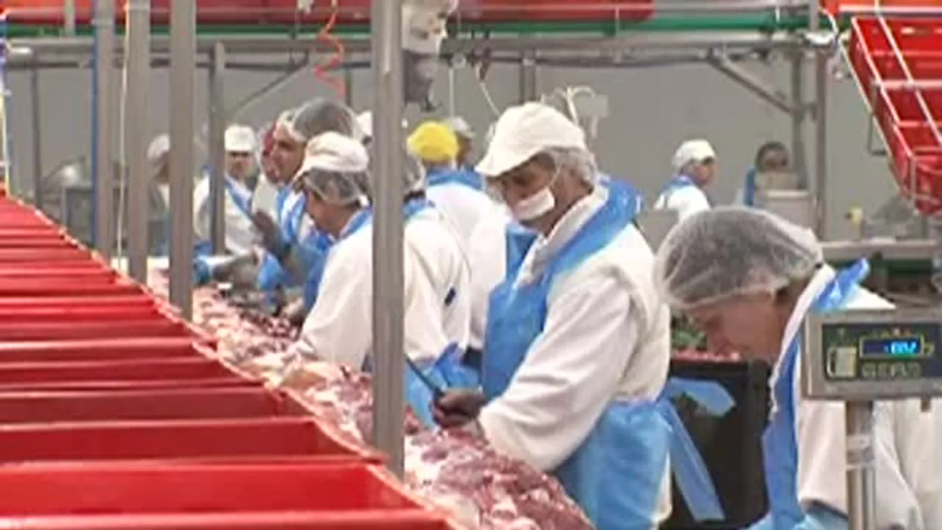 Tulajdonos lett Kaposvár a Kométa húsipari cégben