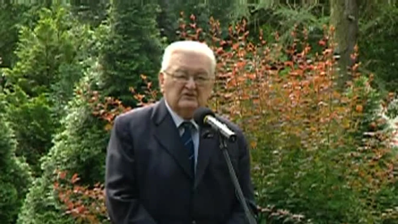 Megemlékezések a hősök napján