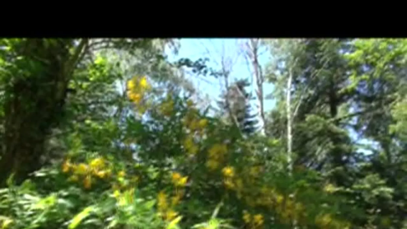 Magyarország egyik büszkesége