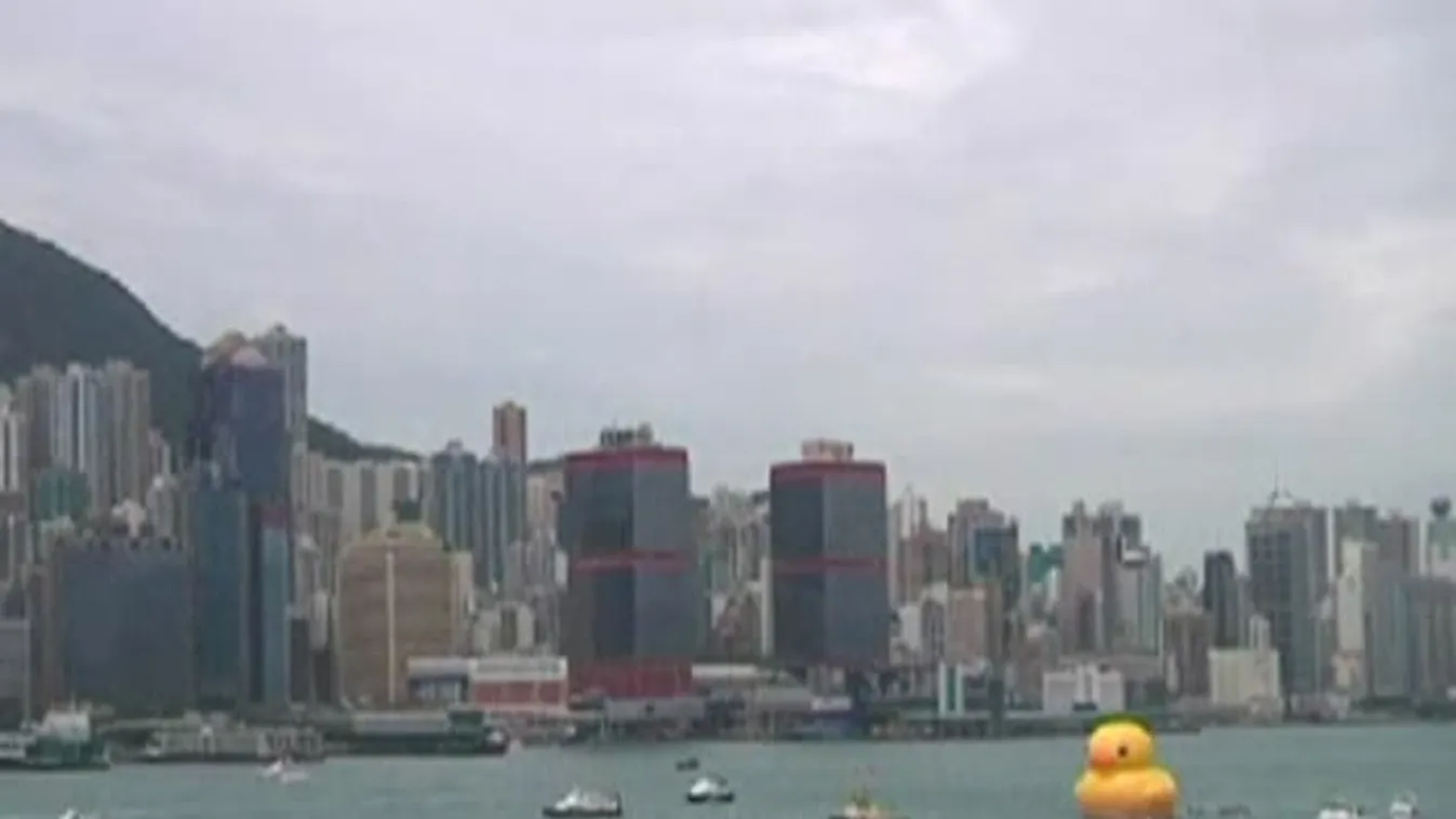 Óriás kacsa érkezett Hongkongba.
