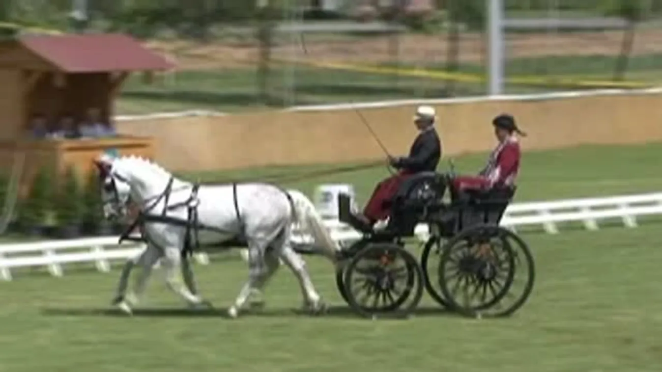 Taroltak a Lázár testvérek