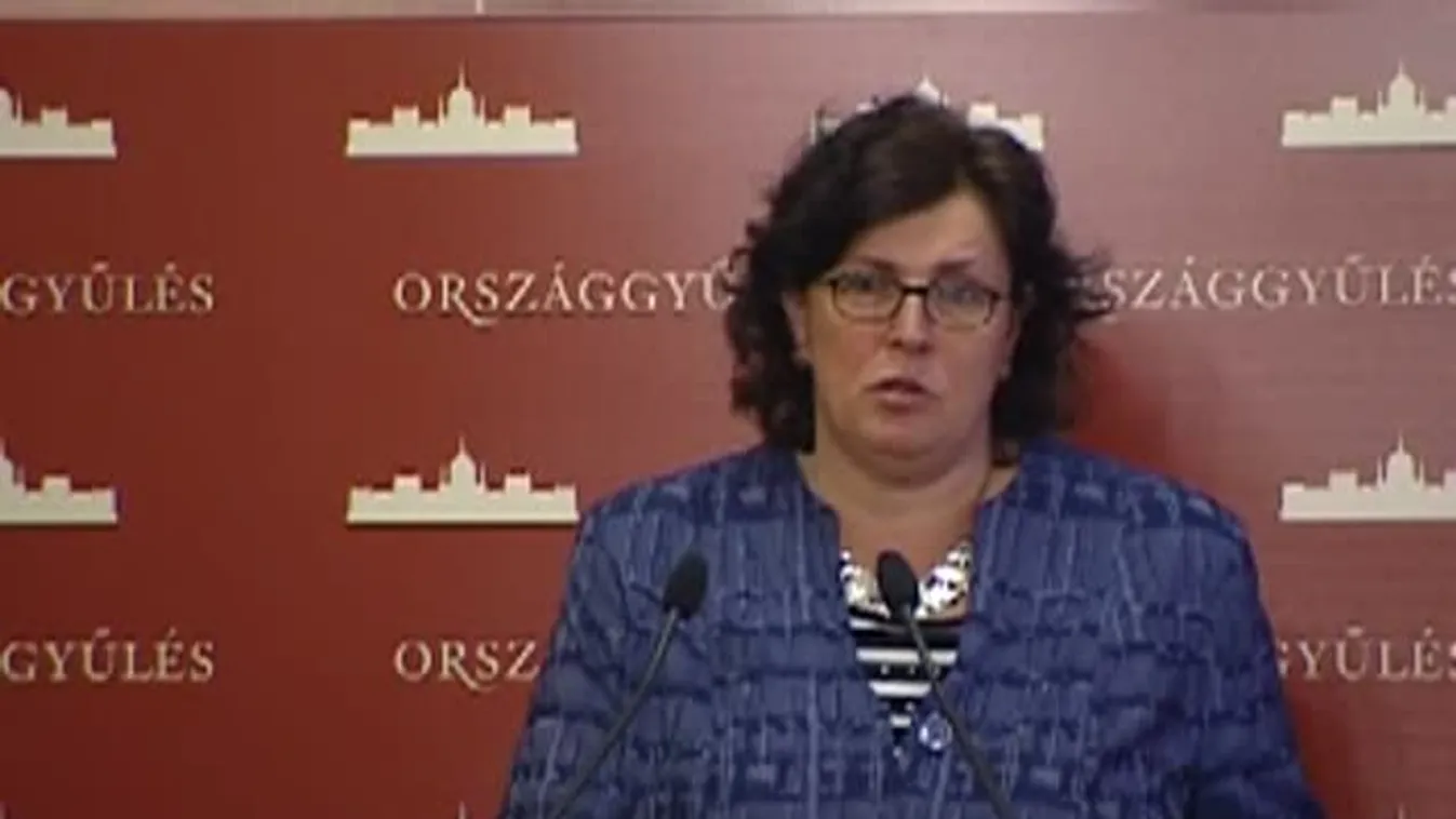 Újratárgyalná az LMP a családon belüli erőszakról szóló törvényjavaslatot