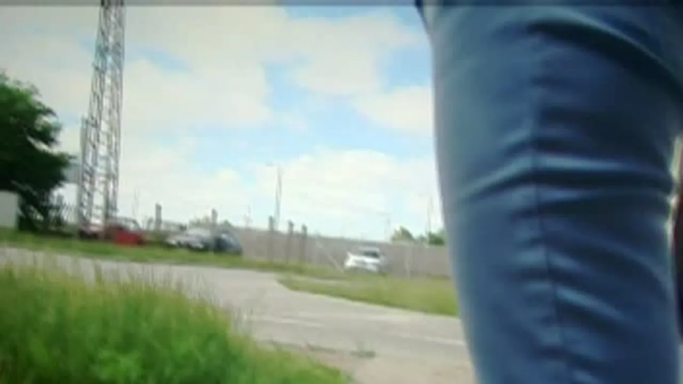 Panaszkönyv - Miért kerül bambusz a kolbászba?