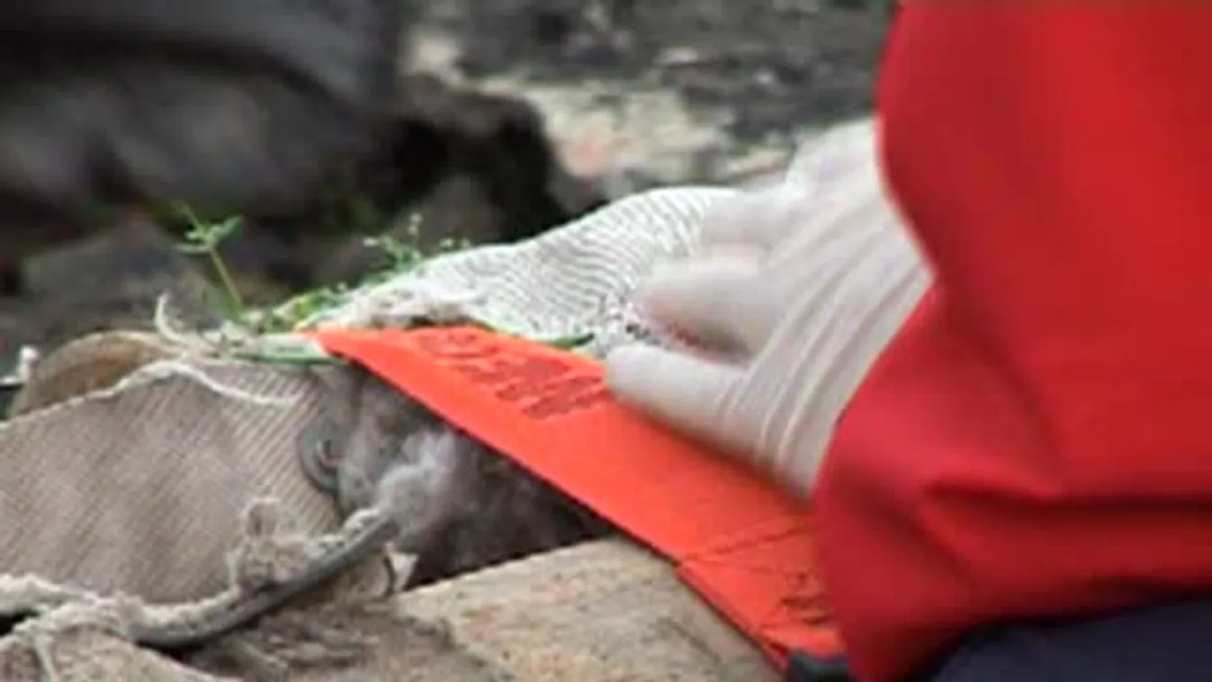 Komplex katasztrófavédelmi gyakorlat Kunmadarason