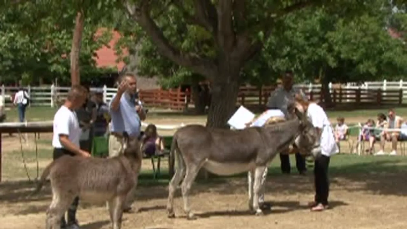 Csacsinap Rádpusztán