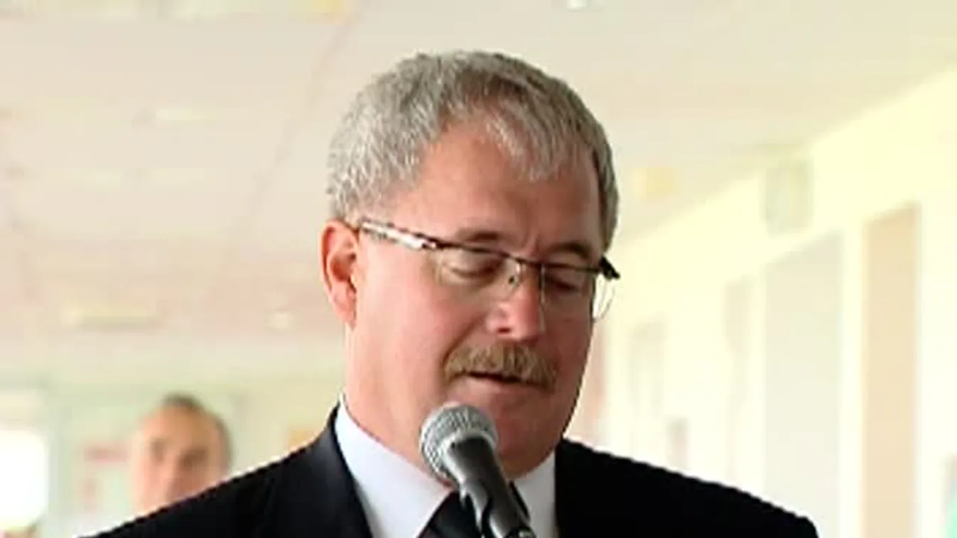 50 éves a szenttamási ménes