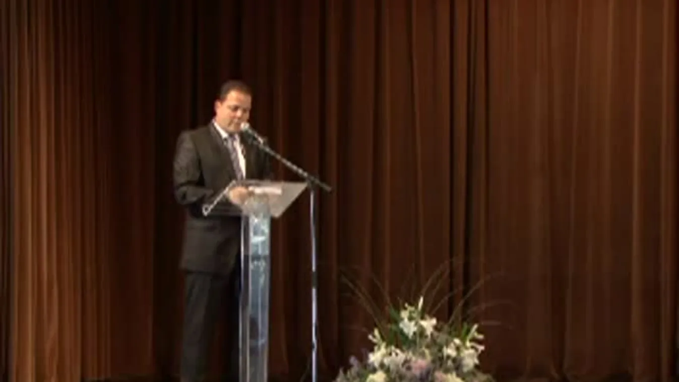 Földvári Napok - 21 éve város Balatonföldvár