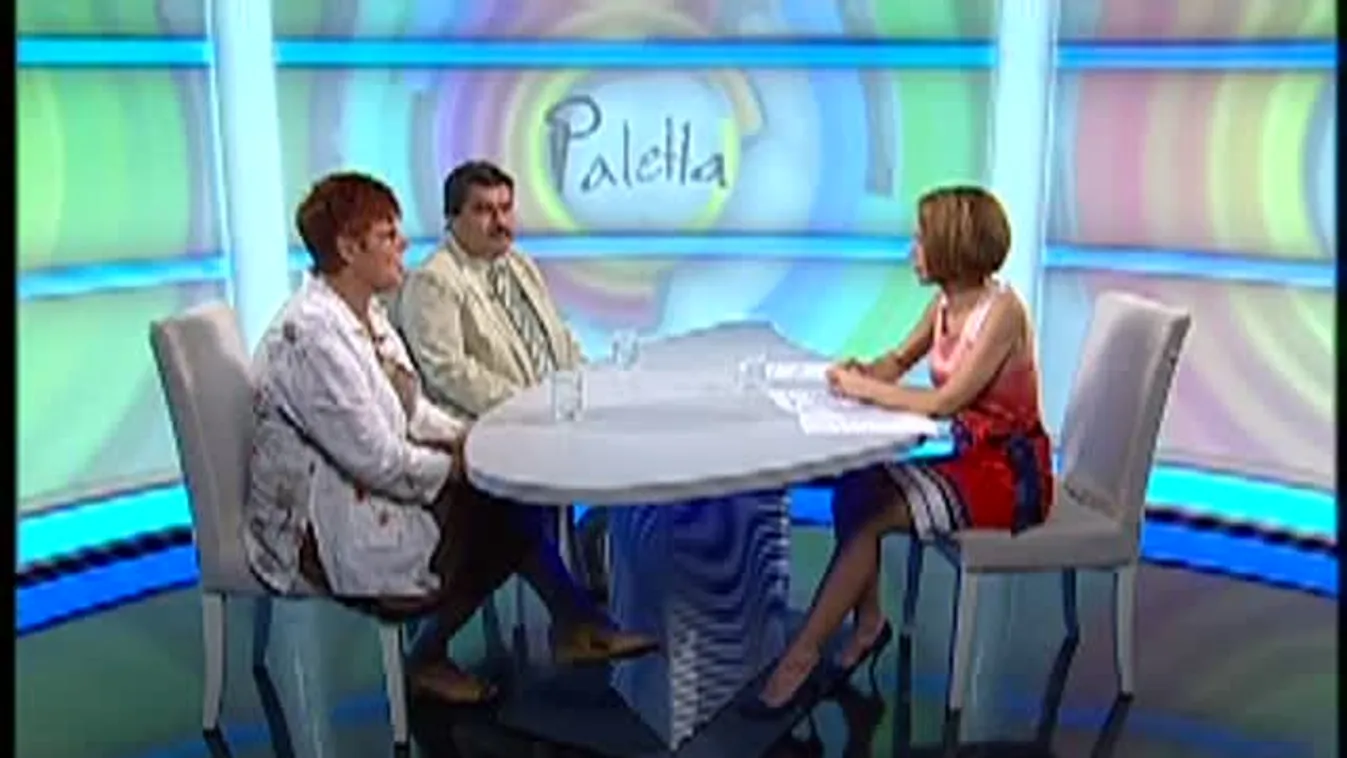 Paletta – Volt Fesztivál 2013