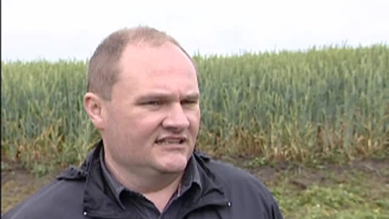 Soroló – Nincsenek jó hangulatban a juhászatok tulajdonosai