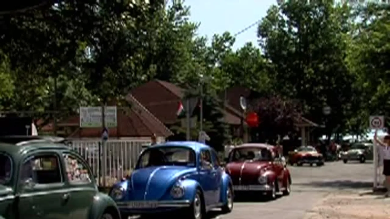 Bogártalálkozó Balatonalmádiban