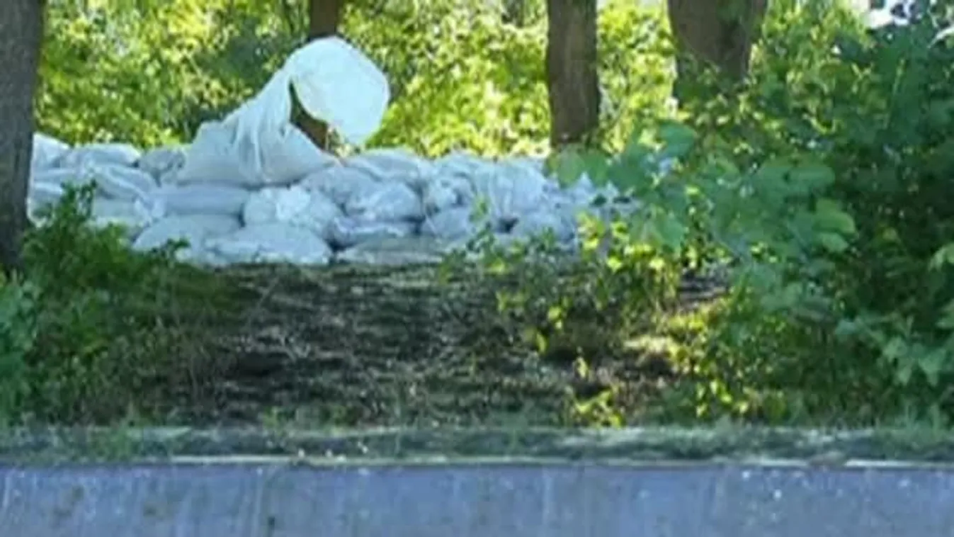 Árvíz Halléban, Németország