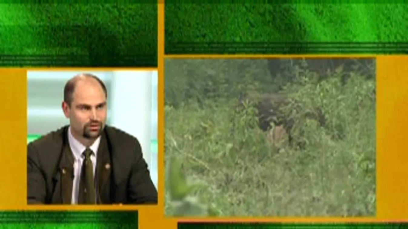 Zöld övezet – Megmenekült a gemenci vadak nagy része