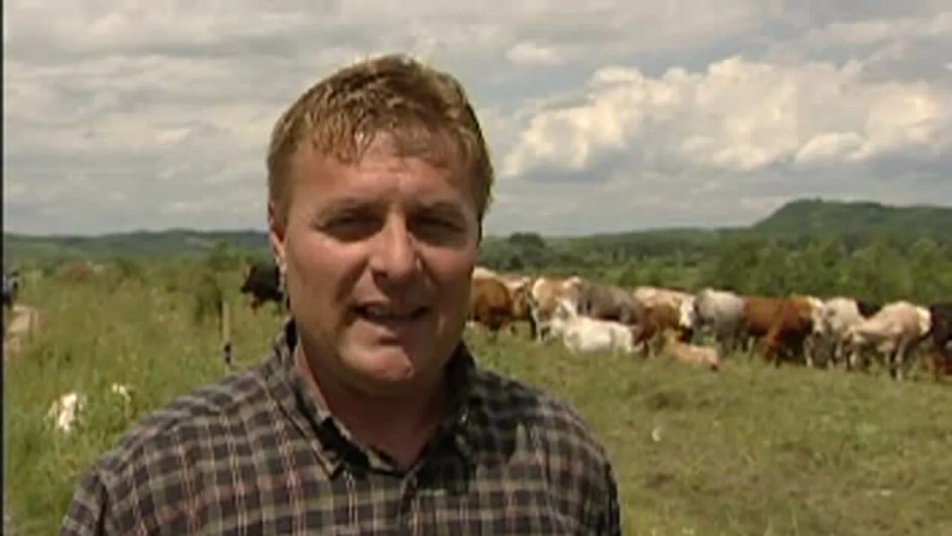 Soroló – A méhészkedő tanár úr