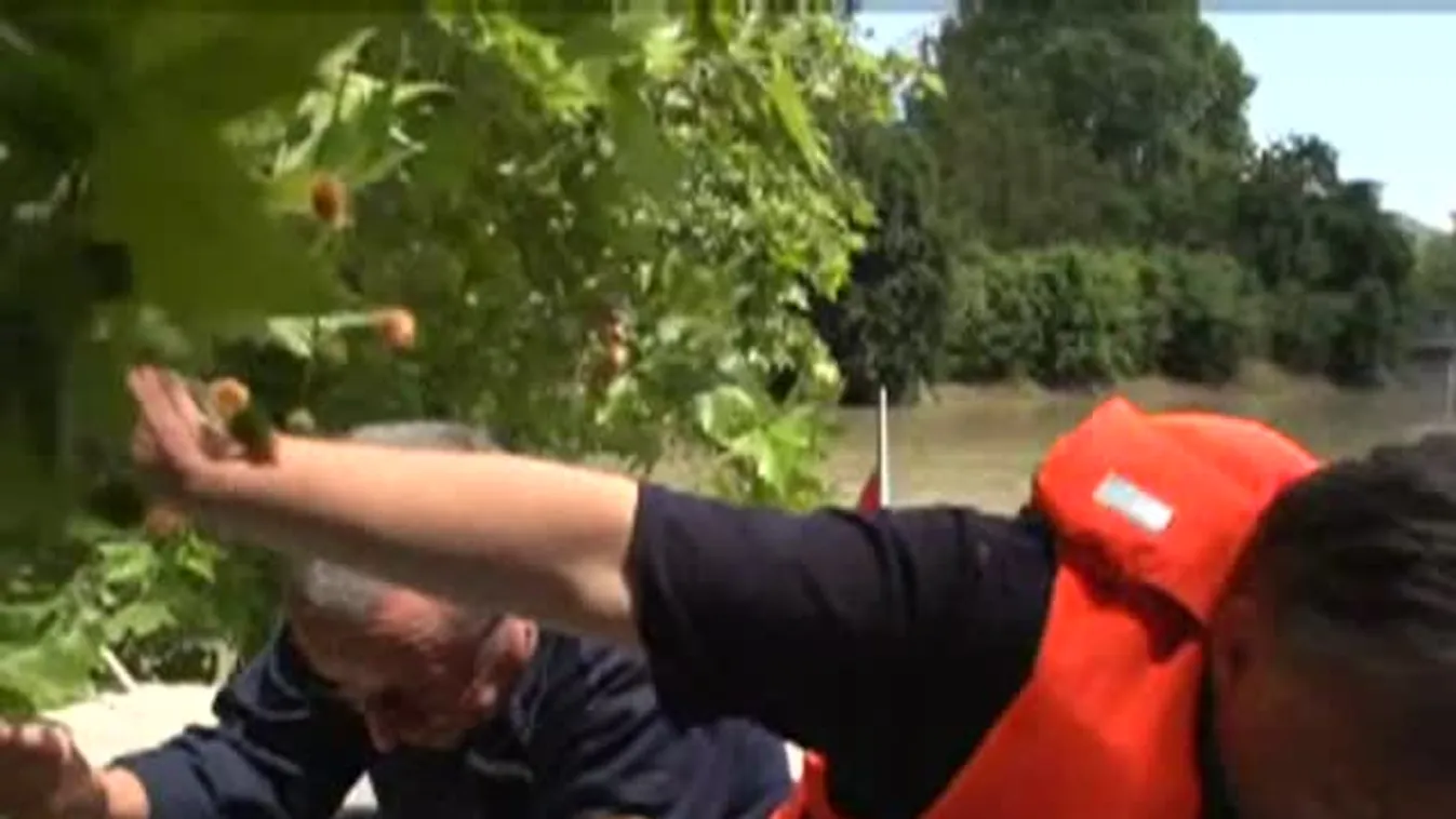 Orbán Viktor Pilismaróton