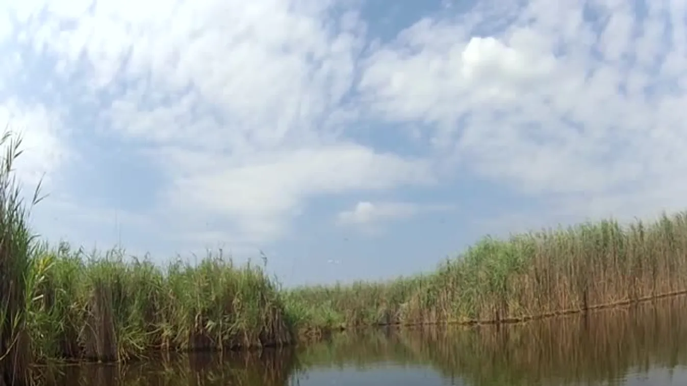 Kincskereső expedíción a Velencei-tavon