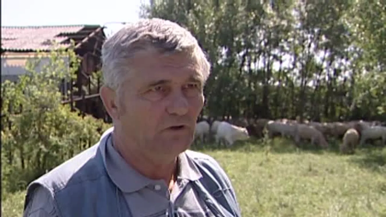 Soroló - Hatszáz húsmarhát nevelnek