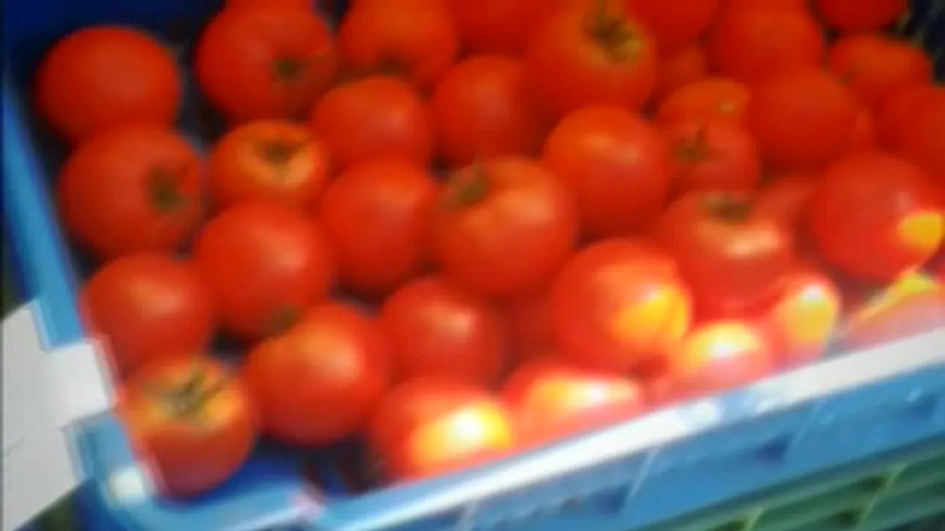 Panaszkönyv - Vettük, bevizsgáltattuk