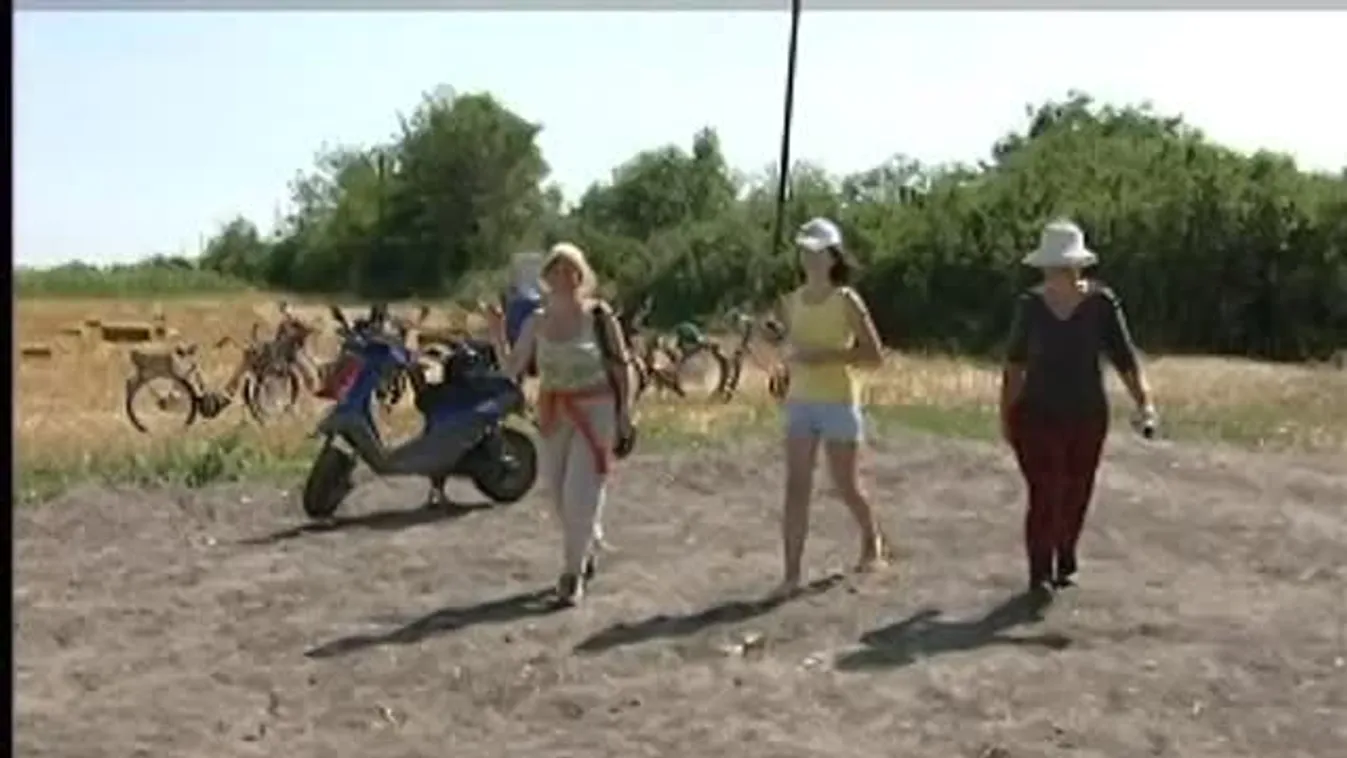 Labirintus egy kukoricatáblában