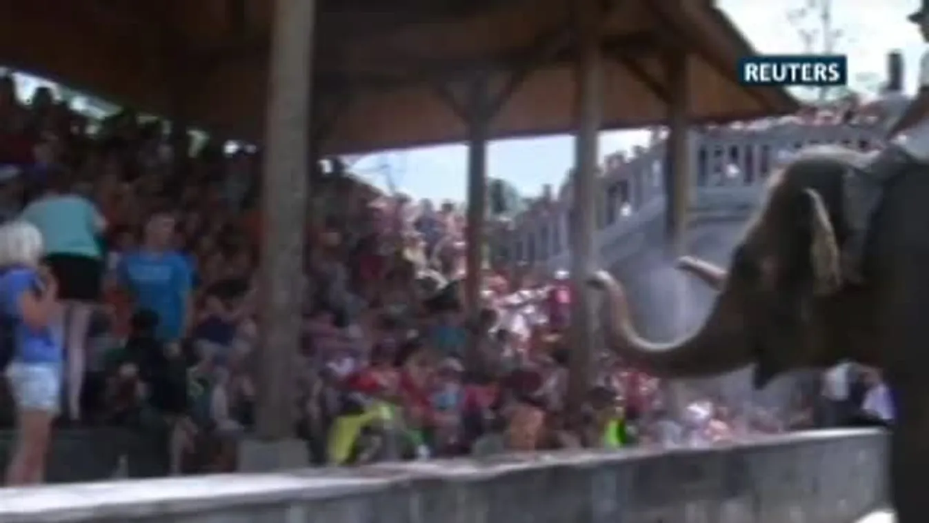 Az elefántok is besegítenek a hűsítésbe