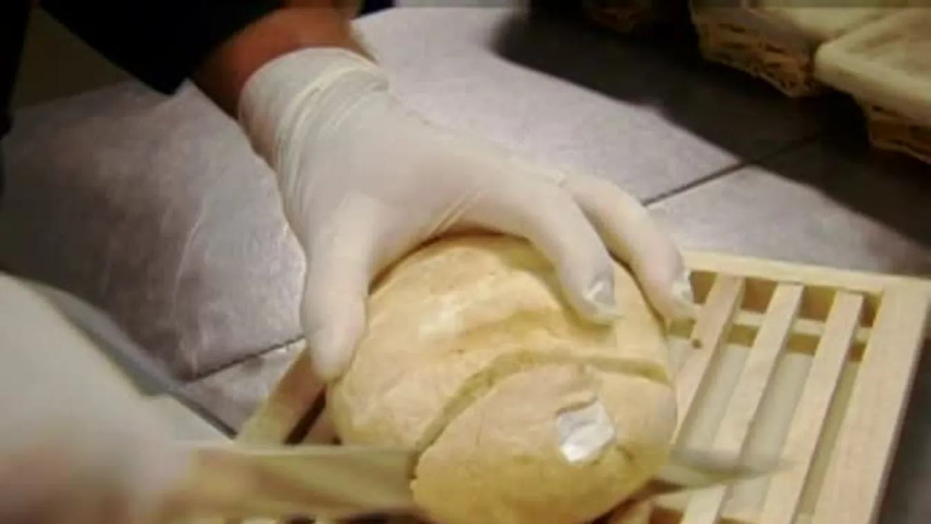 Panaszkönyv – Ízek és illatok