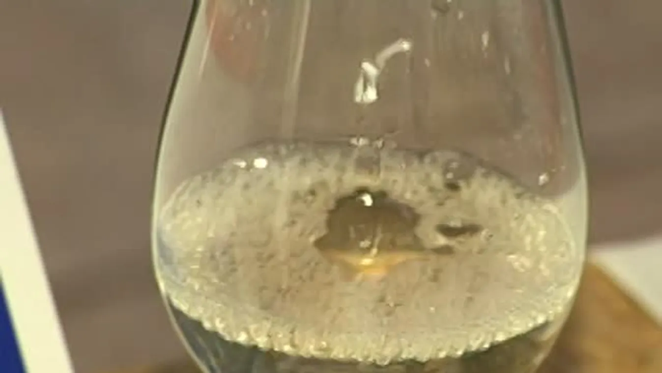 Koccintás 2013,  Pécs