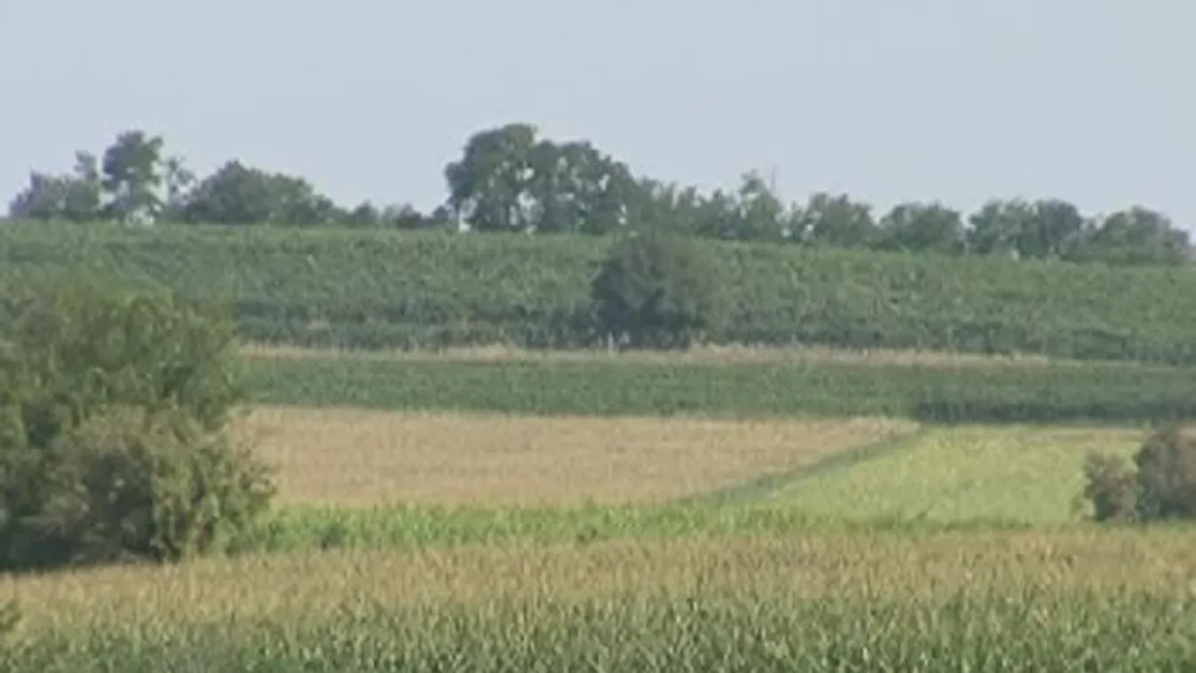 Még az idén 200 ezer hektár állami földre lehet pályázni