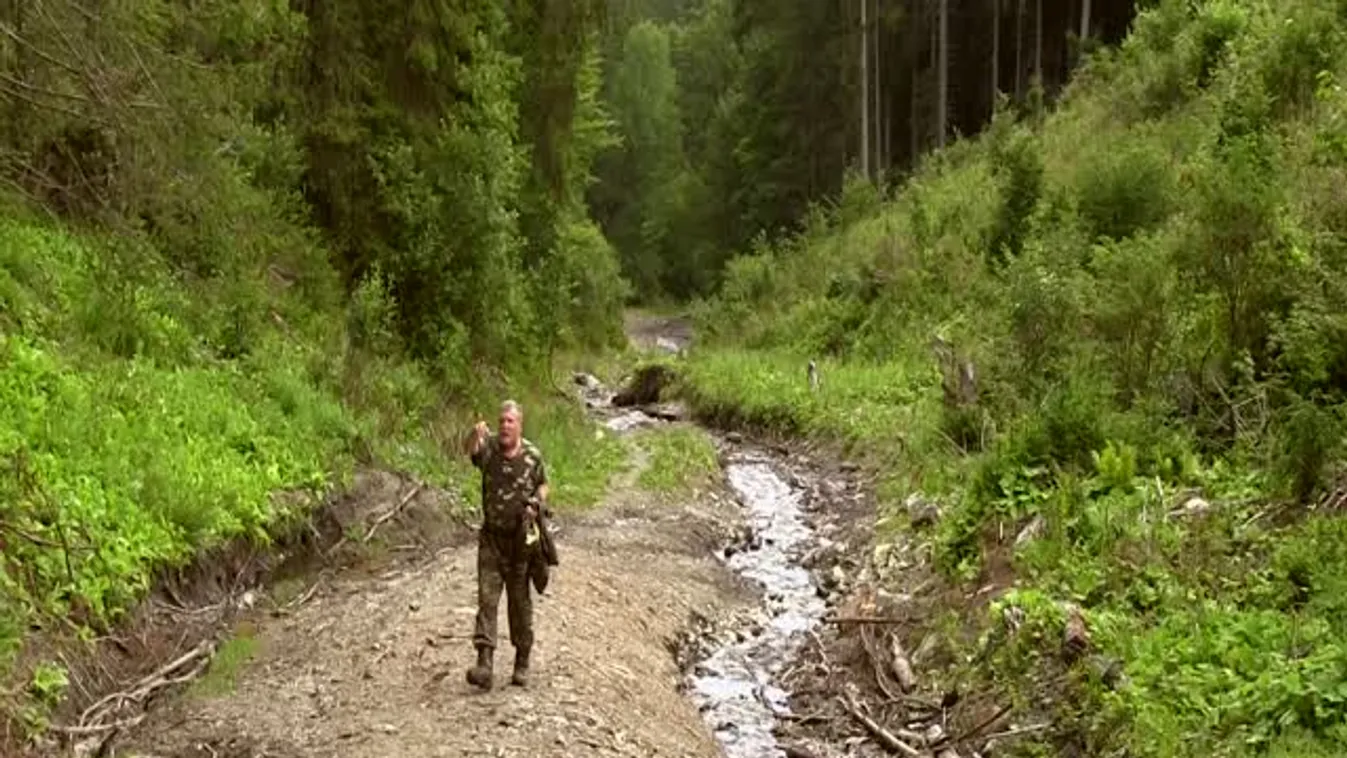 "Pusztítják, de újjászületik" - Kalandunk a Kárpátokban