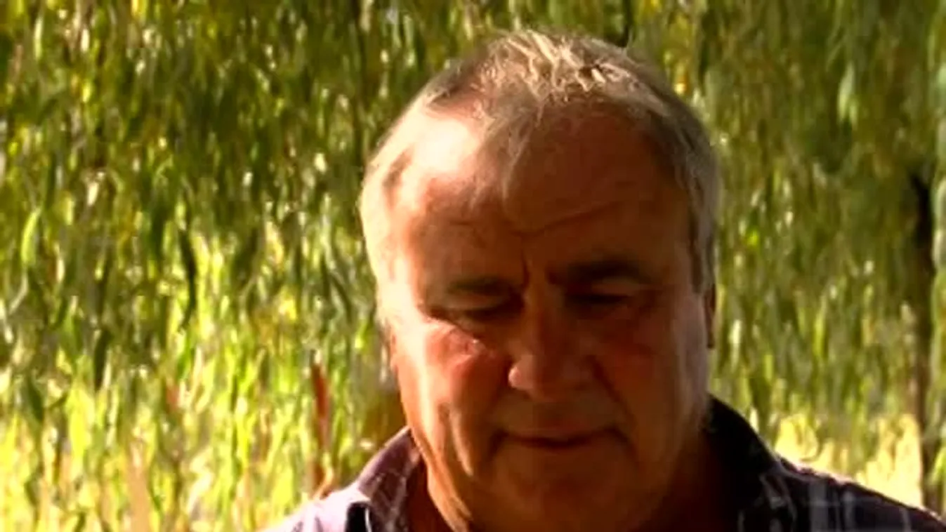 Befutó - Öttusa, kajak-kenu, strandfoci