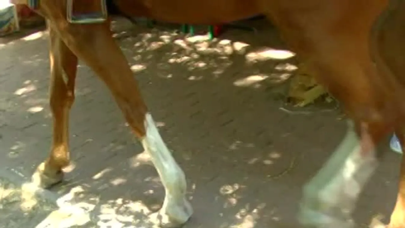 Lovakkal járőröznek Cserkeszőlőn