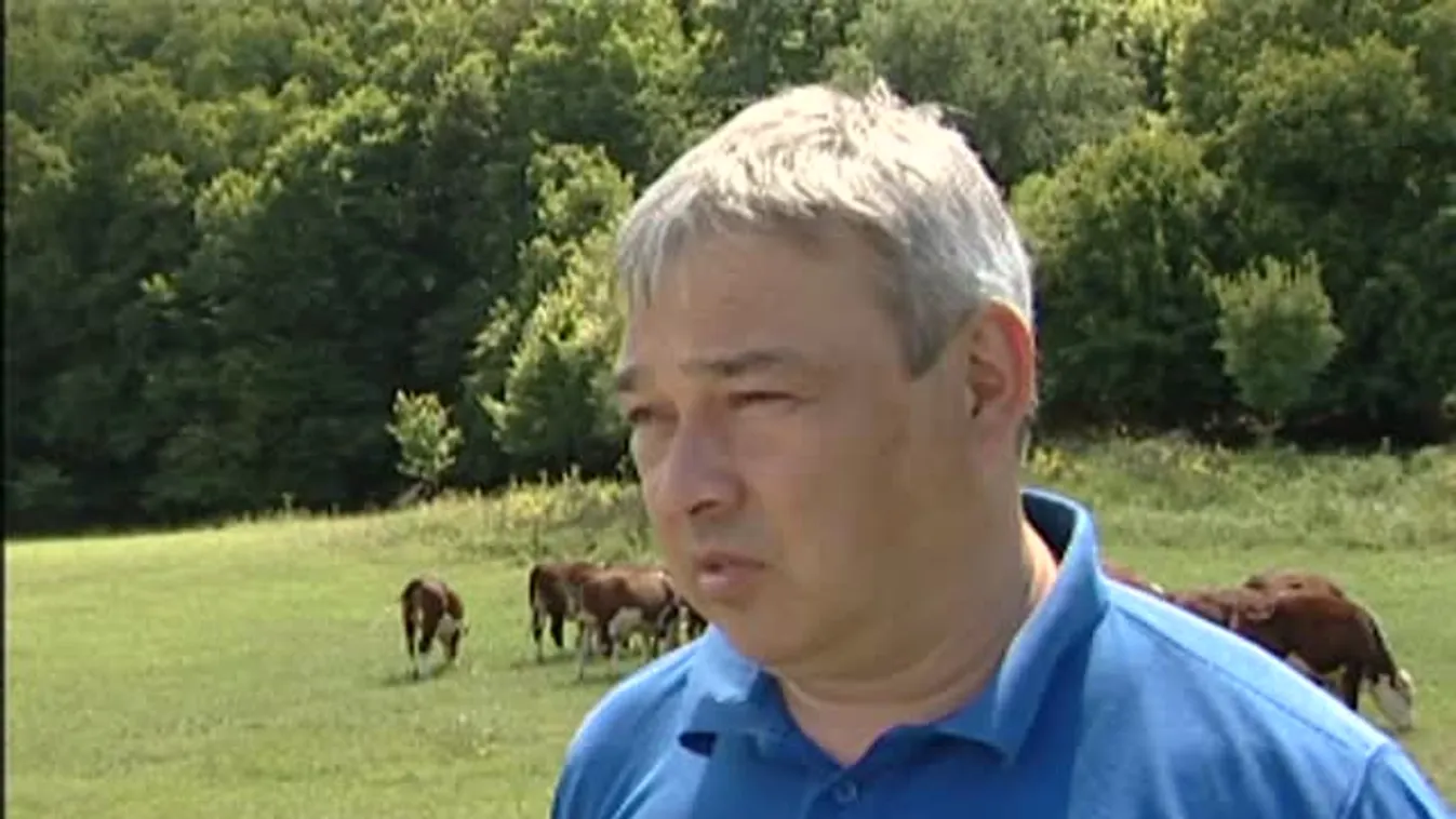 Soroló – Ahol nagyon messzire jutottak a Start-programmal