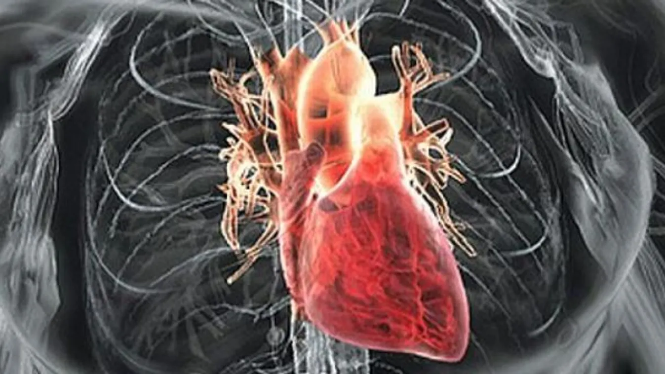 Megfiatalodik a Balatonfüredi Szívkórház