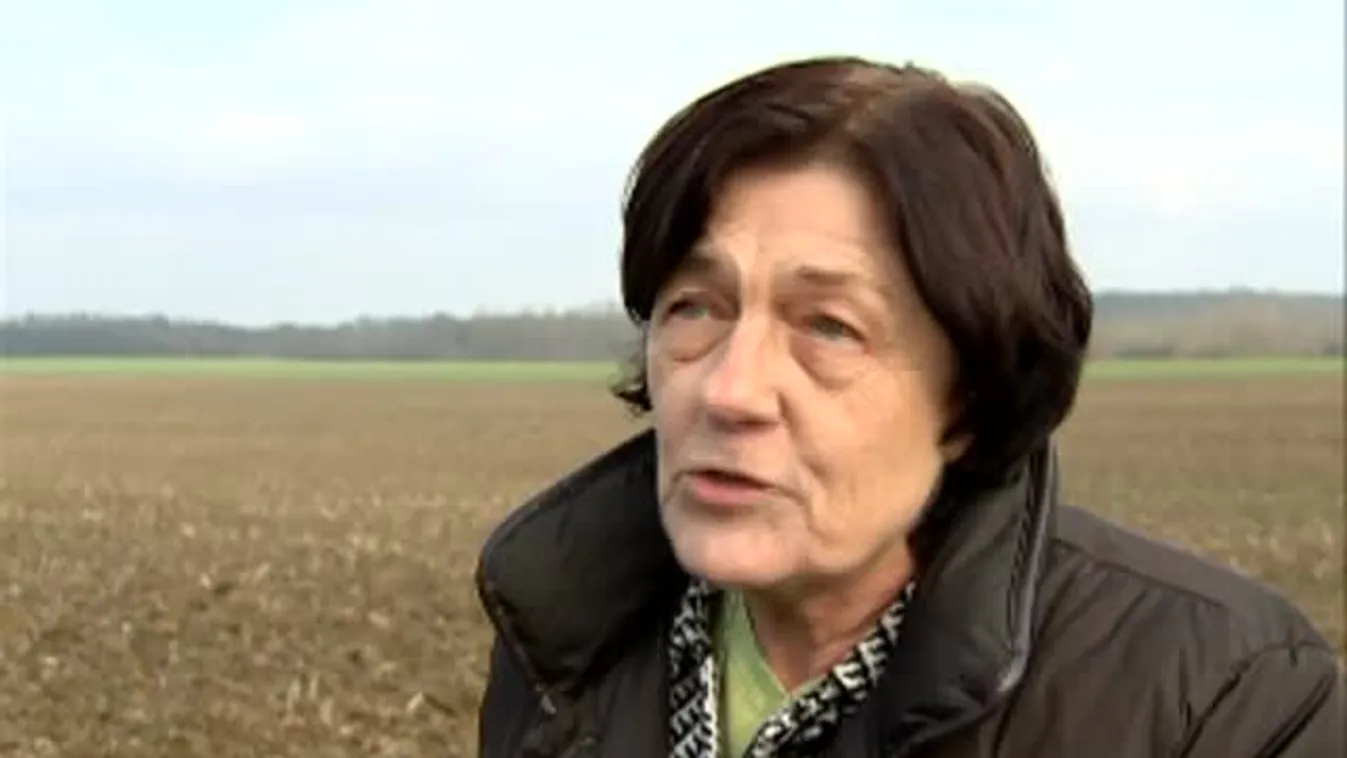 Soroló – Strómanok, ügyeskedők