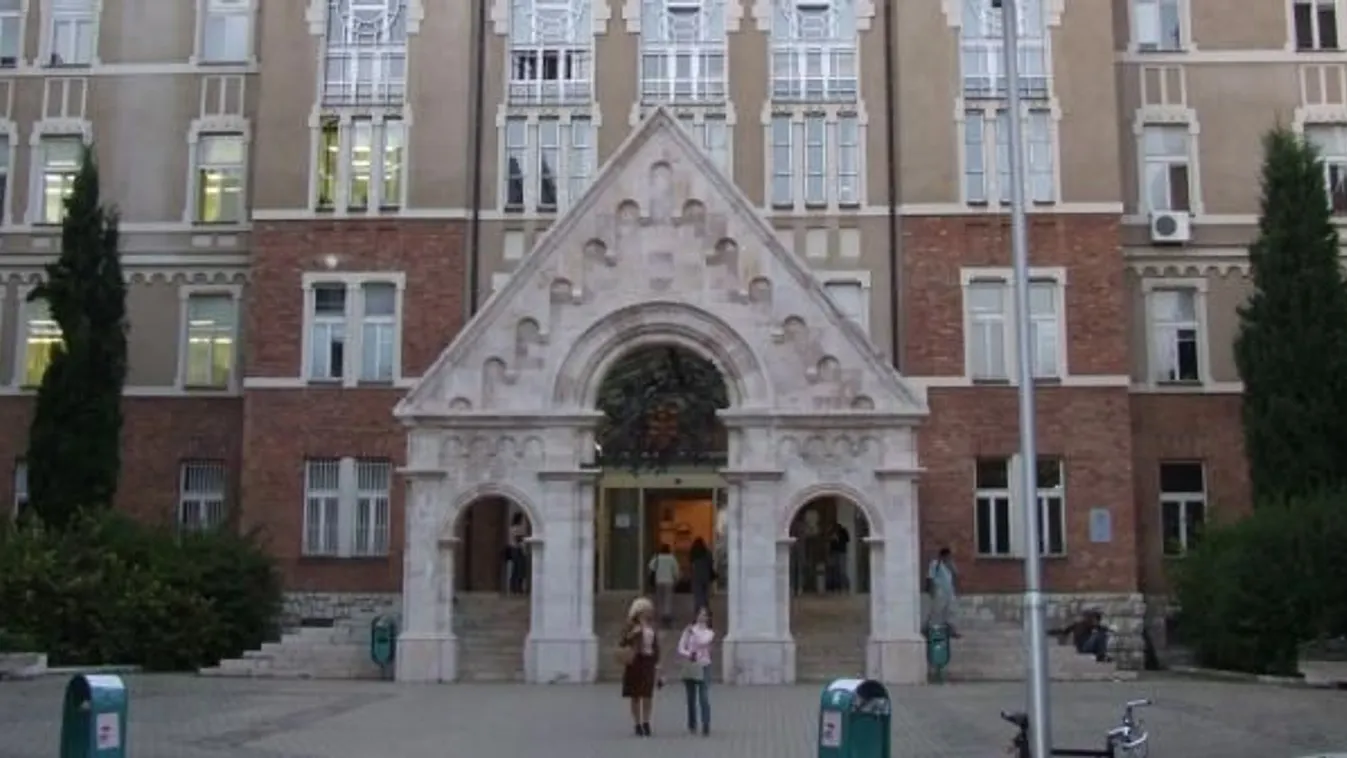 Kínai orvoslás is tanulható lesz Pécsen