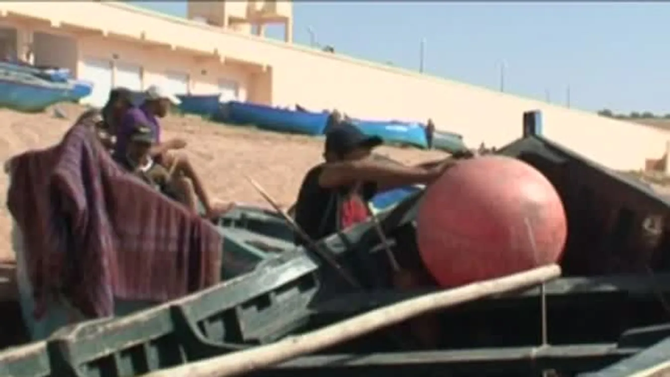 Felfedező – A kutyáknak is kell társasági élet