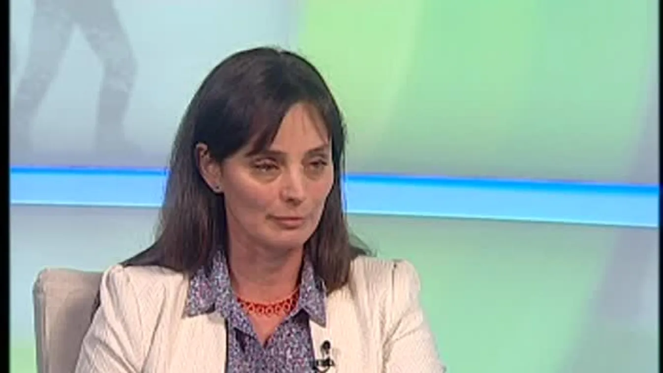 Paletta - Az Animal Cannibals írta a nyár slágerét?